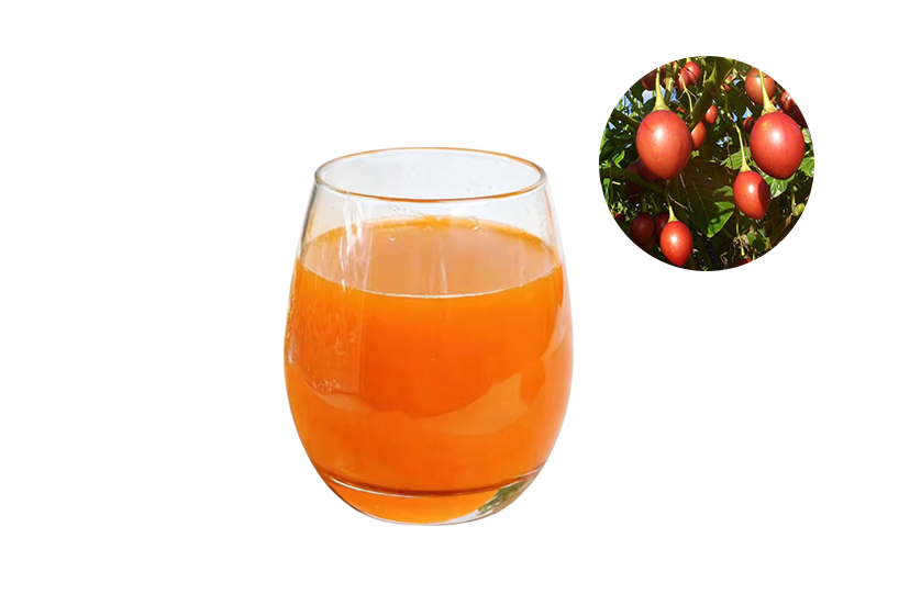 Yunnan Tree Tomato Puree